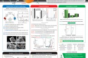 poster #06 - Soft Nano - Nanoscience, New York